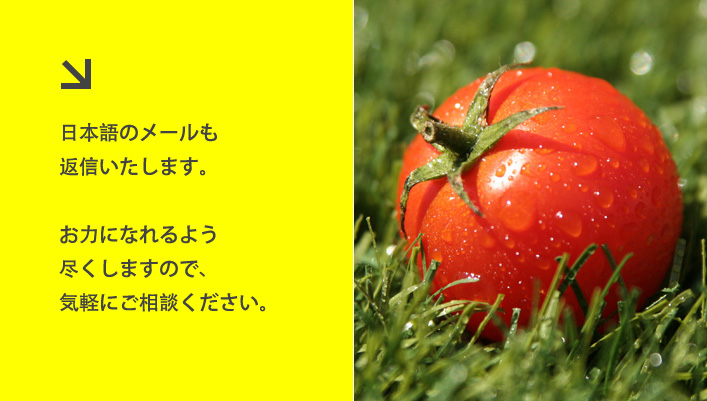 TOMATO:Associates®